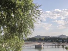 -东方巨龟苑景区