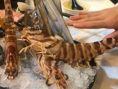 花竹虾-鲜入围煮花胶鸡海鲜火锅