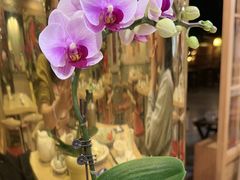 -佛有缘素食馆·荔湾老字号(陈家祠首店)