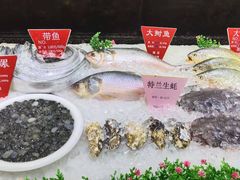 -宝燕壹号(徐汇店)