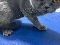 -佳雯宠物医院(金华南路分院)