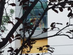 -苏州工业园区斜塘街道莲花幼儿园(敦煌分园)