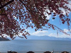 -湖景渔湾