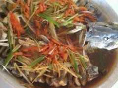 -煲来饱去冷水鱼