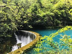 -北京植物园-展览温室