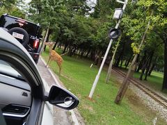 -秦皇岛野生动物园