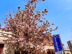 -天津五大道文化旅游区