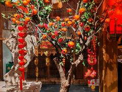 -情满四合院•京菜•烤鸭(动物园店)