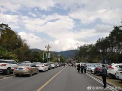 -九龙江国家森林公园