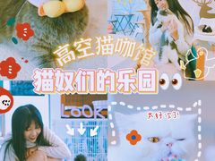 -泰国佛·塔罗·泰牌狐仙古曼