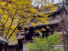 -龙潭水乡