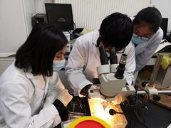 -上海市曹杨第二中学