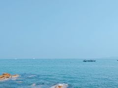 -杨梅坑
