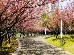 -苏州河梦清园环保主题公园