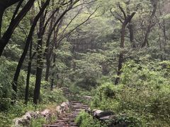 -阳台山自然风景区