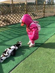 -萌宠亲子动物乐园(槐房万达店)