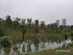-桂溪生态公园
