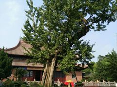 -苏州文庙(姑苏区)