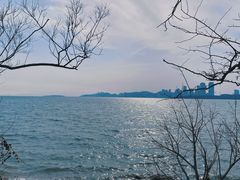 -唐岛湾公园