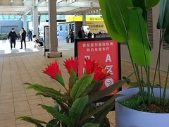 -青岛胶东国际机场