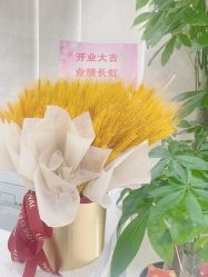 -幼泡泡连锁美容医疗