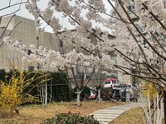 -山东省千佛山医院