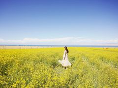-青海湖国家重点风景名胜区