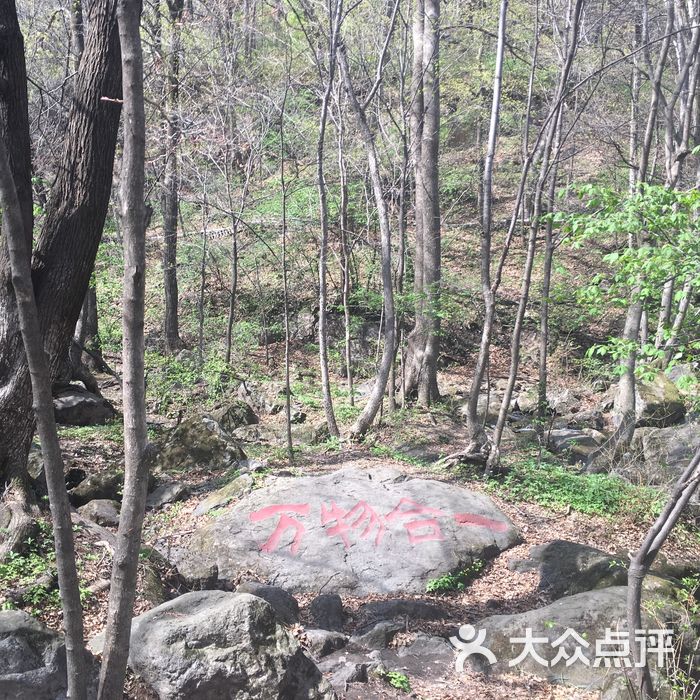 香爐山國家森林公園圖片-北京自然風光-大眾點評網