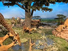 -国家自然博物馆