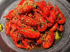 油焖大虾-肥肥虾庄·金牌油焖大虾(沙湖店)