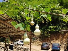 -将军关探险漂流