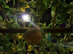 -陈李济中药博物馆