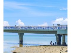 -北海金海湾红树林生态旅游区