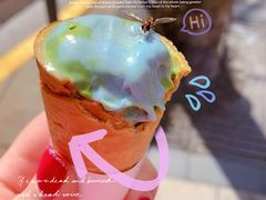 -Dal Cuore 达可芮冰淇淋(陕西北路店)