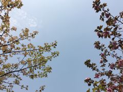 -白马涧龙池景区
