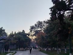 -万泉公园