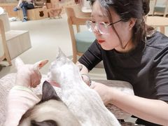 -藏猫猫咖啡主题馆(中央大道店)