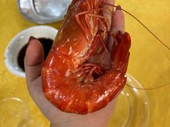 -大湾区中央湿地公园-十九涌
