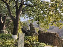 -白马涧龙池景区