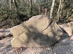 -上海佘山国家森林公园天马山园