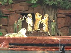 -长鹿旅游休博园