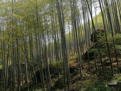 -山沟沟景区