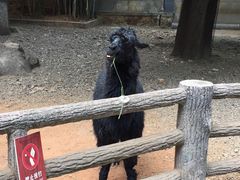 -昆明动物园