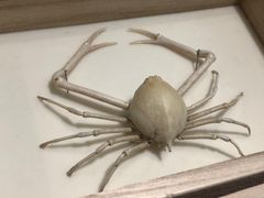 -摩登百货(岗顶店)