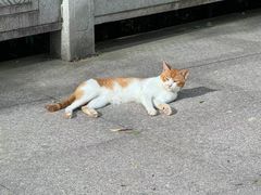 -阳台山森林公园