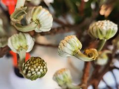 -COACH蔻驰(赛特奥特莱斯店)