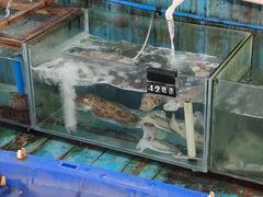 -蓝湾碧波·老字号·疍家非遗海上餐厅
