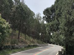 -佛慧山
