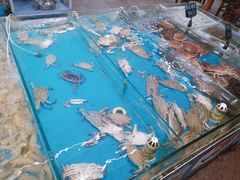 -87号烧烤海鲜·大排档(金沙滩店)