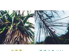 -龙坑生态保护区